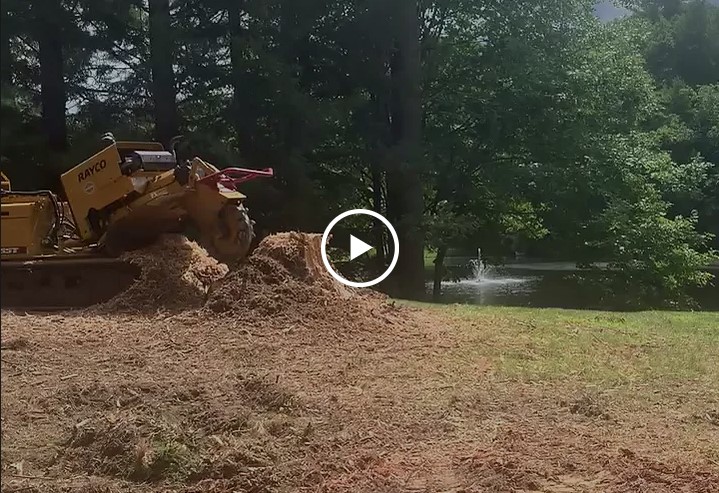 Here is the stump grinder at work!