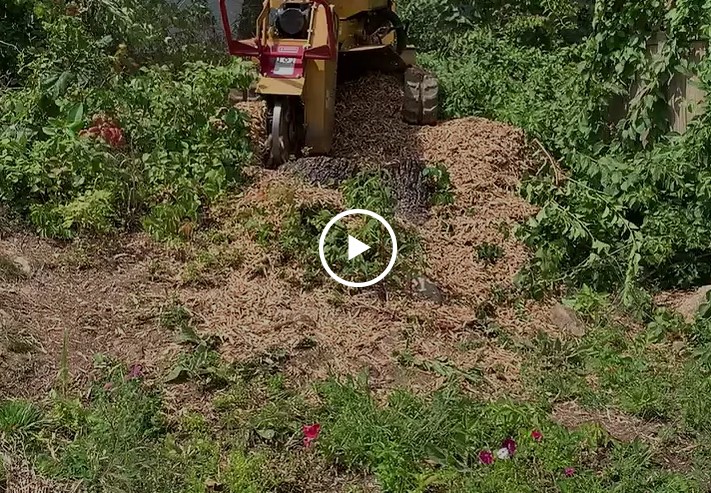 another stump grinding video
