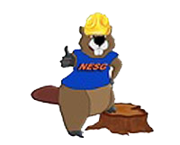 Stump-Removal-Maine-Lakes-Region NH