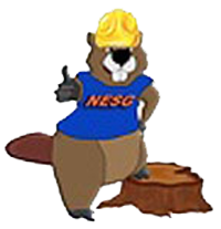 Stump-Removal-Maine-Lakes-Region NH